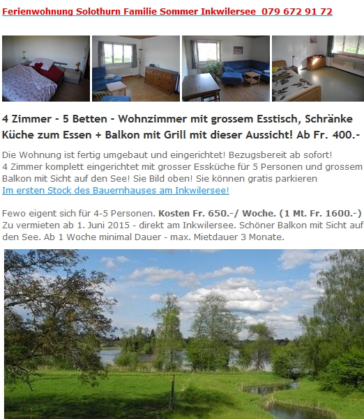 möblierte Wohnung mittelland