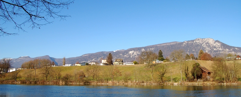 wohnung feldbrunnen